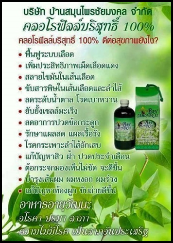 คลอโรฟิลล์ บ้านสมุนไพรชัยมงคล Cholophyll Bansamonprai