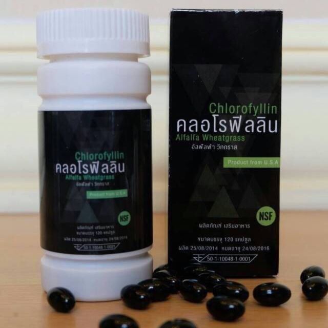 คลอโรฟิลลิน ผักเม็ดสำหรับคนไม่ชอบกินผัก (Chorofyllin Alfalfa Wheatgrass)