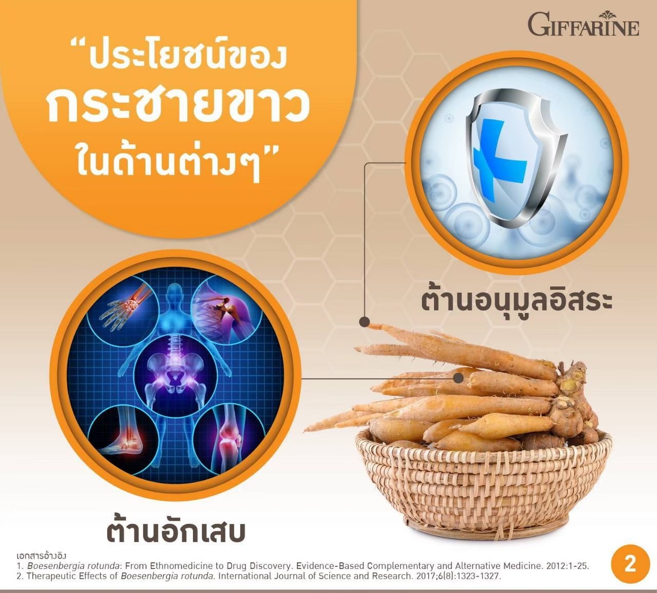 กิฟฟารีน กิฟฟารีน กระชาย-พลัส 41038