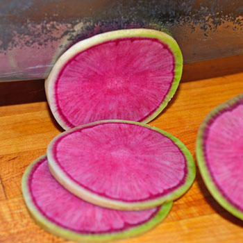 แรดิชแตงโม - Watermelon Radish