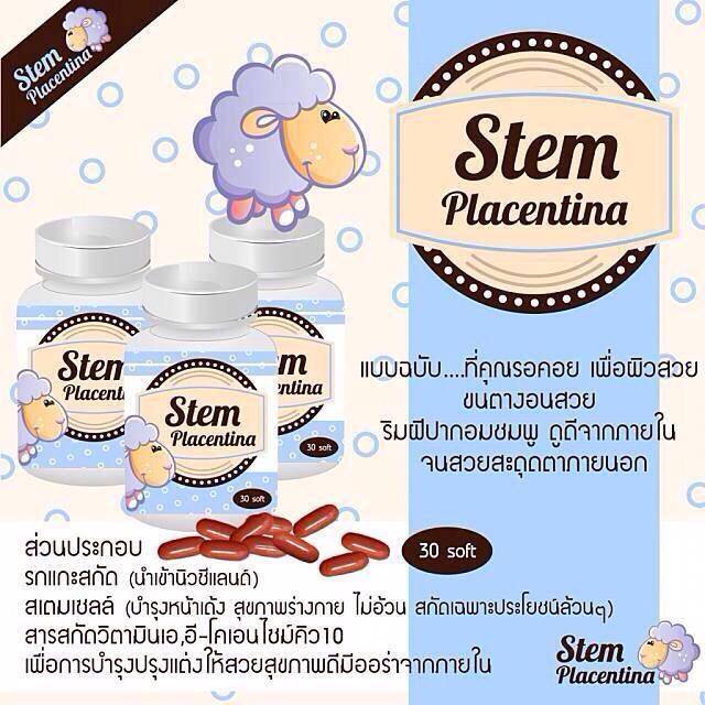 กลูต้ารกแกะ สเตมเซลล์
