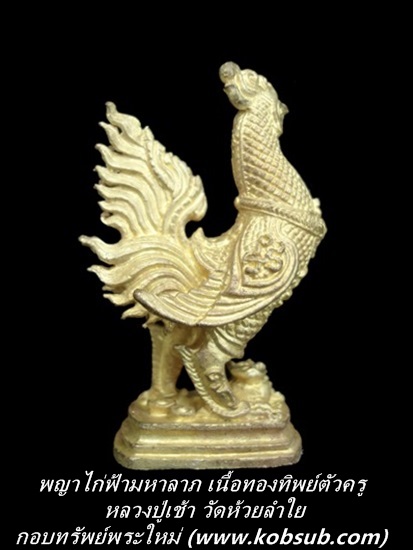 พญาไก่ฟ้ามหาลาภ ตัวครู เนื้อทองทิพย์ หลวงปู่เช้า วัดห้วยลำใย