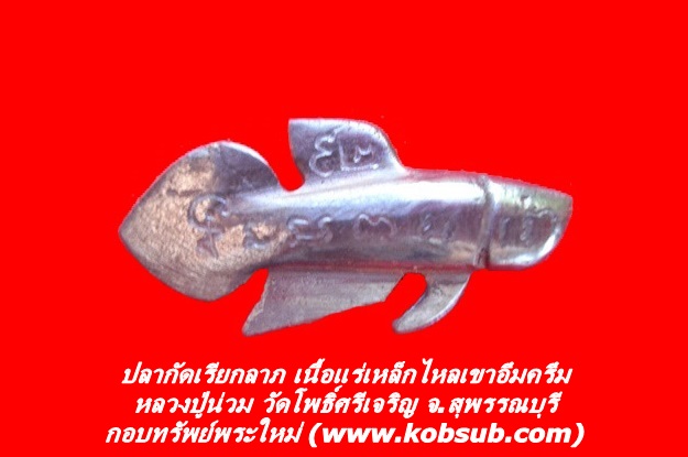 ปลากัดเรียกลาภ เนื้อแร่เหล็กไหลเขาอึมครึม หลวงปู่น่วม วัดโพธิ์ศรีเจริญ