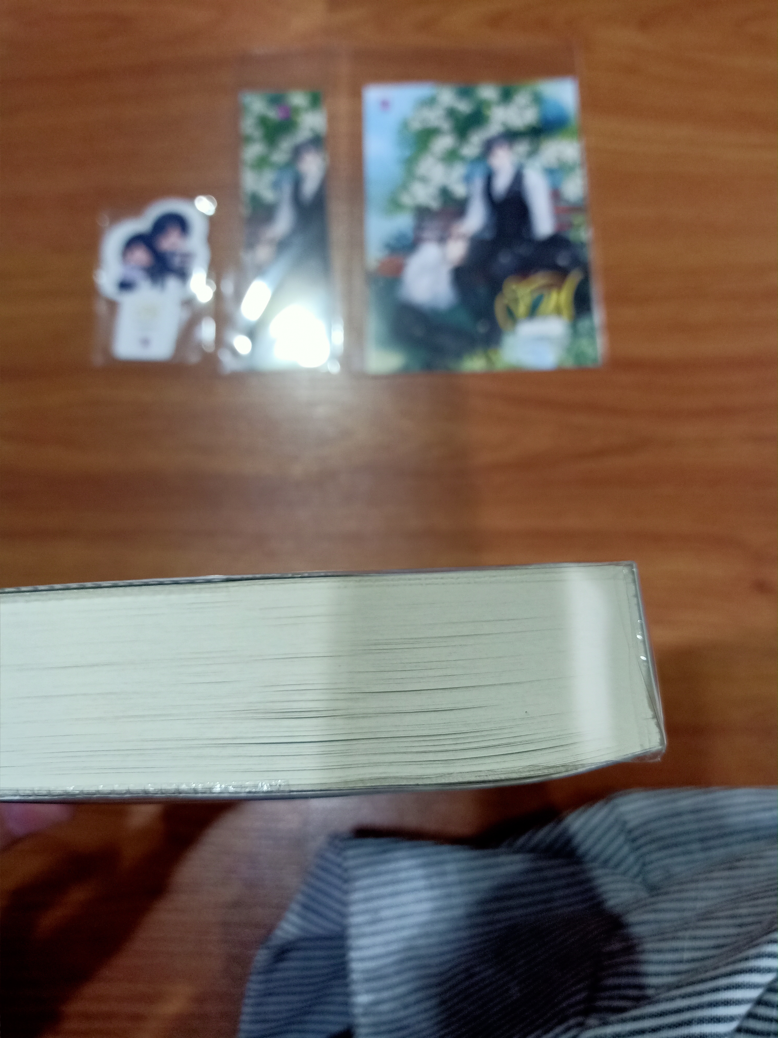นิยายแต่ง สาปดอกแก้ว รอบจอง