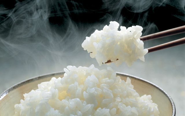 ข้าวญี่ปุ่นโคชิฮิคาริ - Koshihikari Japanese Rice