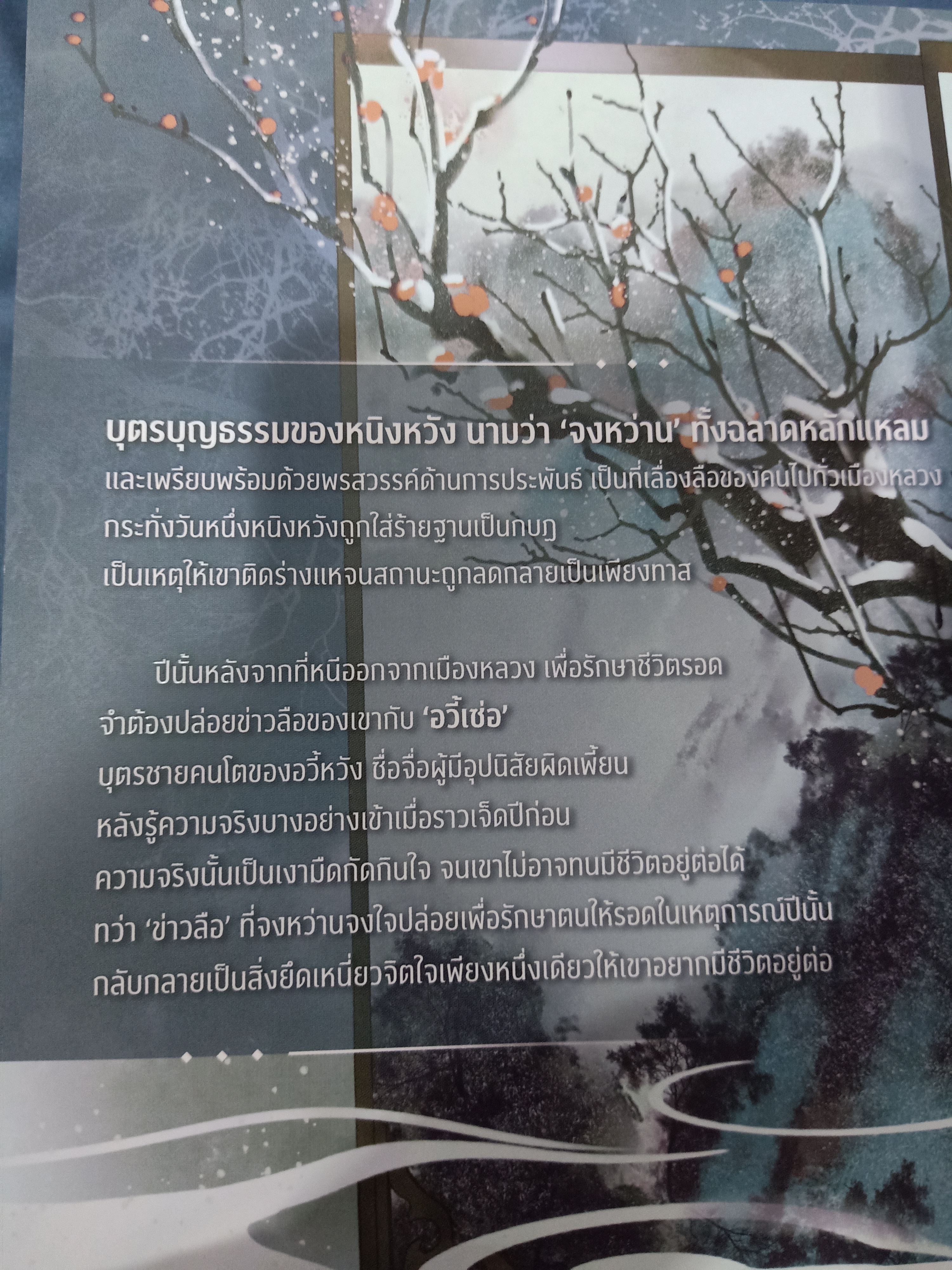 Boxset นิยายแปล ปีนั้นที่ข้าคนคงหา รอบจอง + สแตนดี้