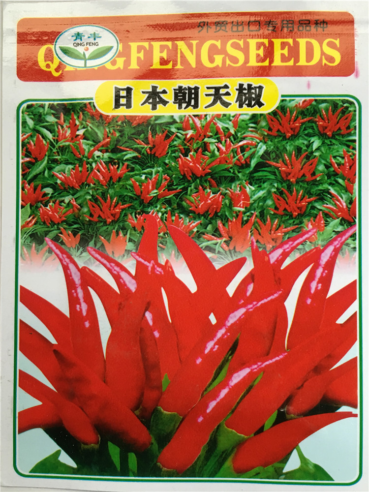 พริกช่อจีน - Chinese High Yield Hot Pepper