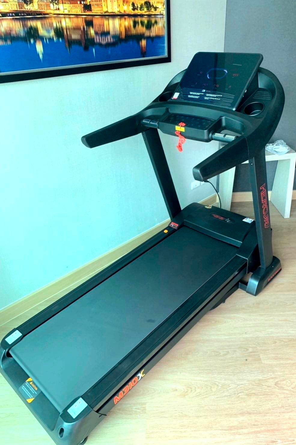 ลู่วิ่งไฟฟ้า Mercury M310X/6.0 hp ขายตัวโชว์