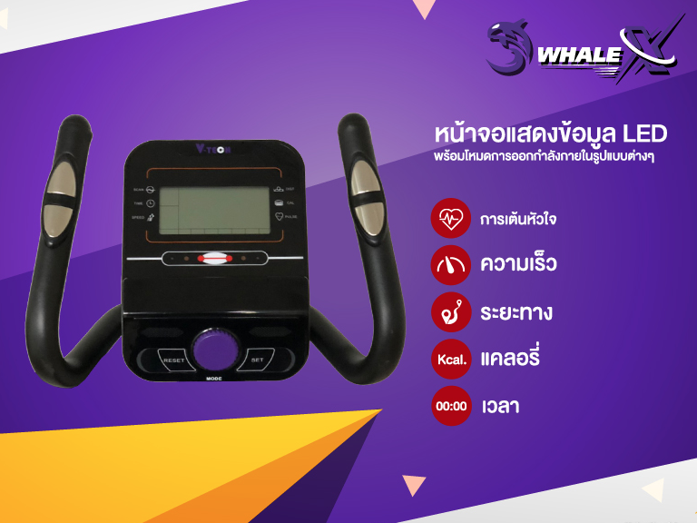 Elliptical เครื่องเดินวงรี V-Tech รุ่น WHALE-XE ลดเพียบ! ติดต่อ