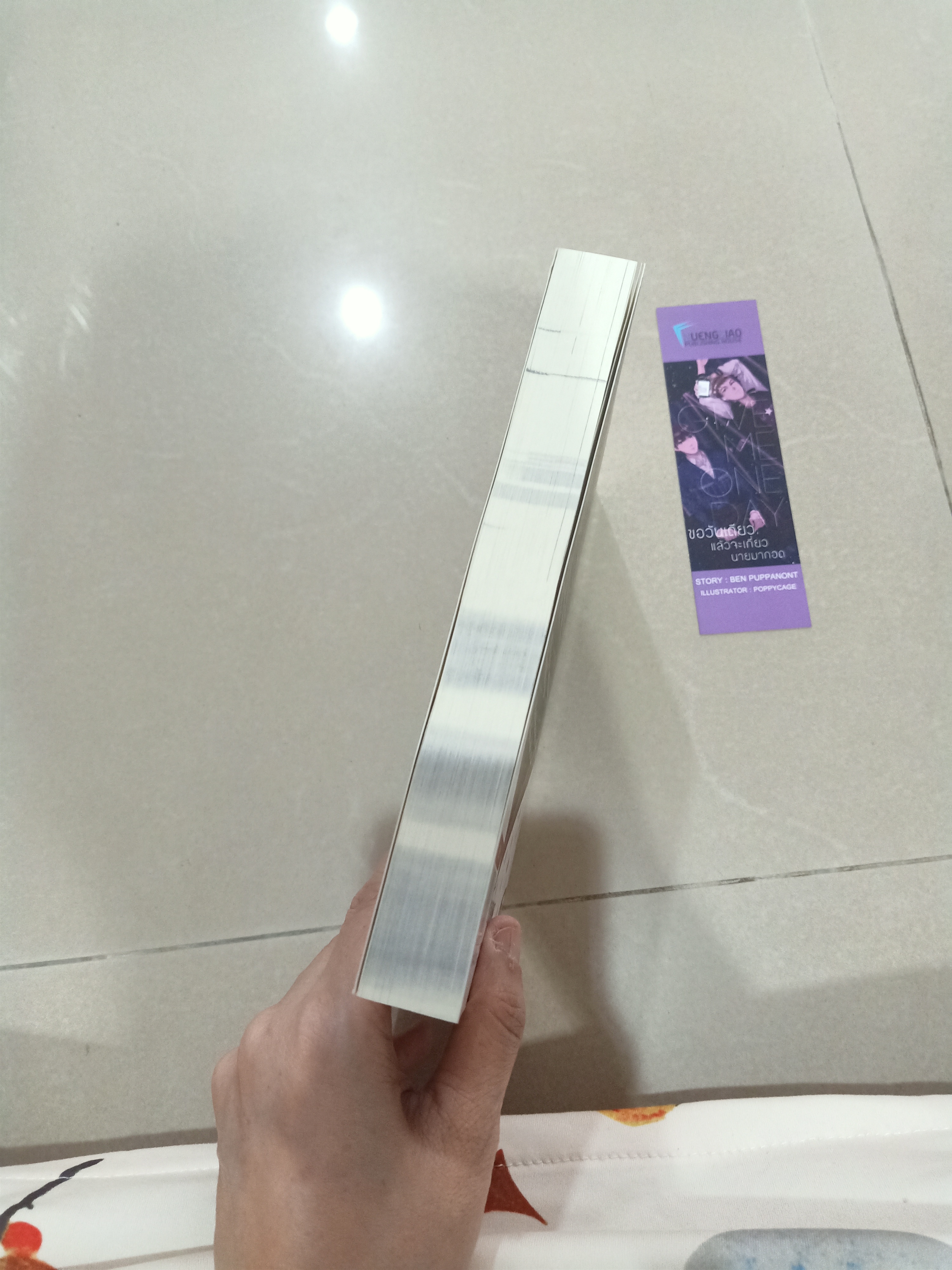 นิยายแต่ง หนุ่มโชคร้ายกับนายแชมป์ว่าว