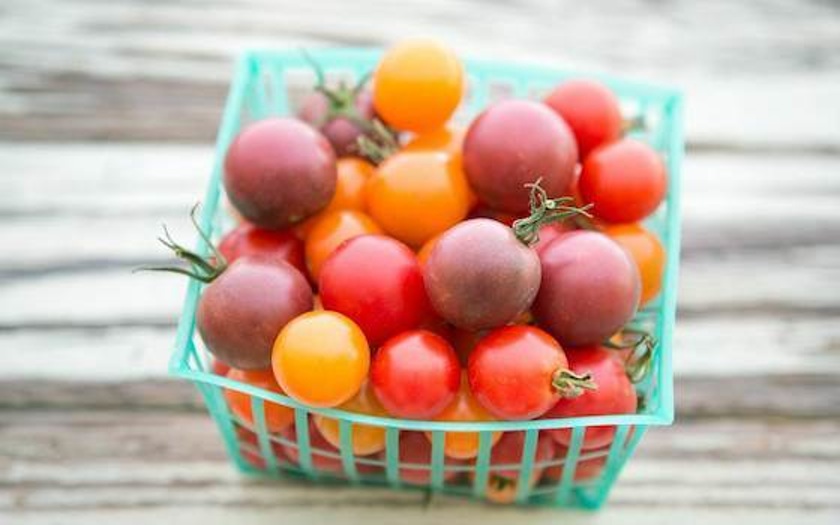 มะเขือเทศเชอรี่คละสี - Mixed Cherry Tomato