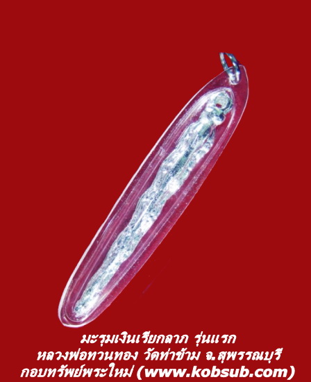 มะรุมเงินมหาลาภ รุ่นแรก หลวงพ่อทวนทอง วัดท่าข้าม
