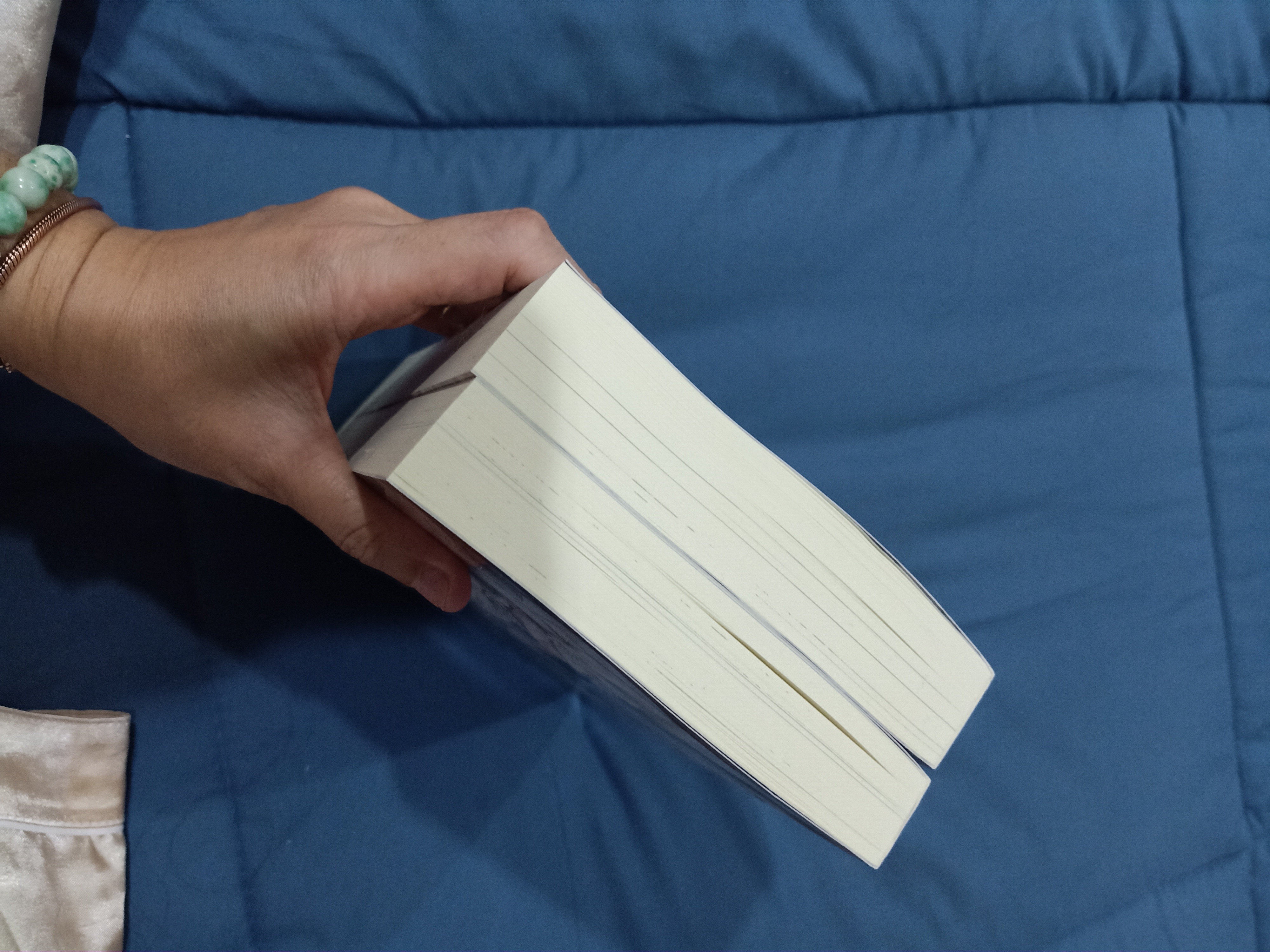 Boxset นิยายแปล ตัวละครเอกพยายามจะข้าทุกวัน รอบจอง