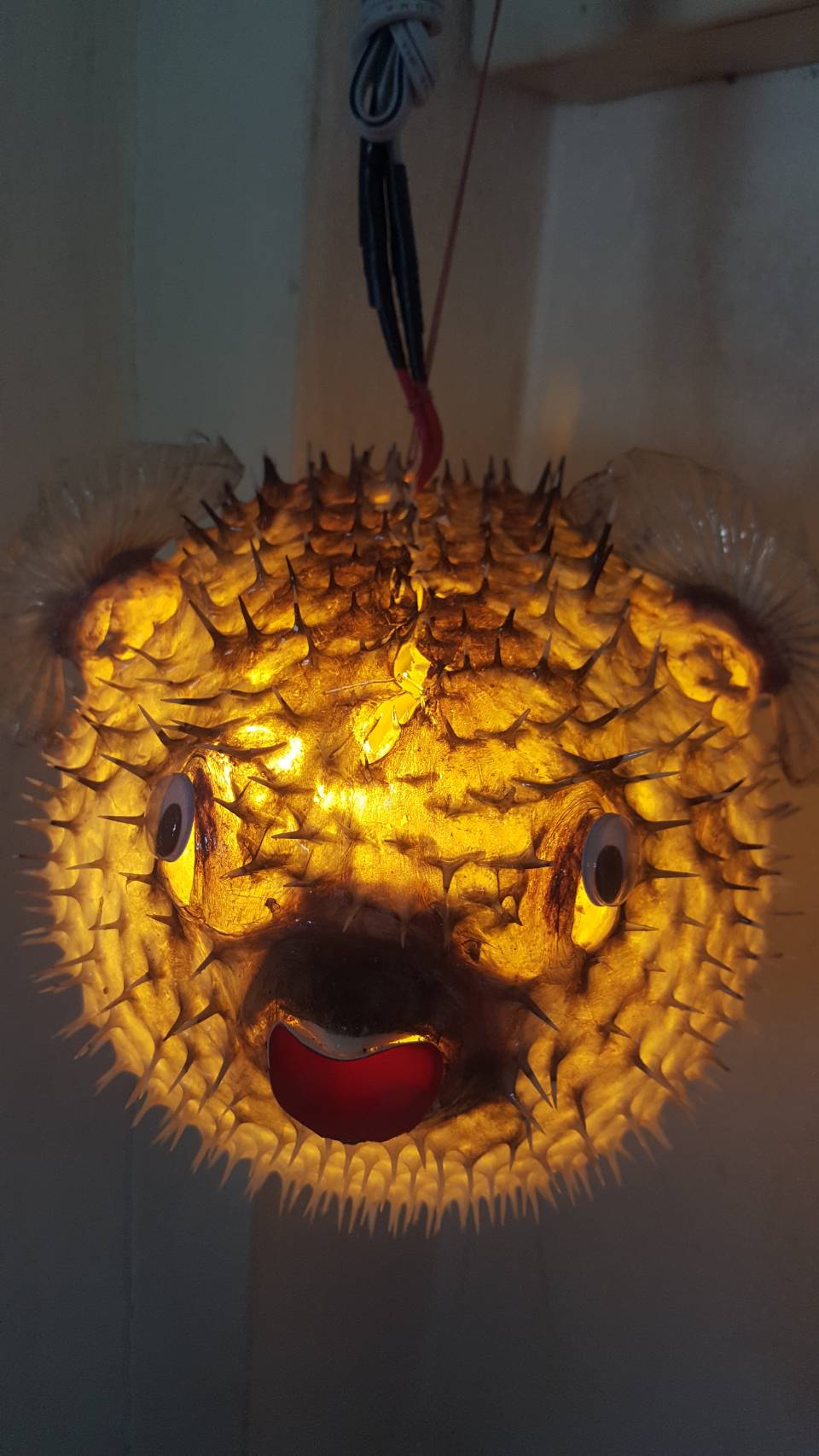 โมบายปลาปักเป้ามีไฟไซต์ใหญ่