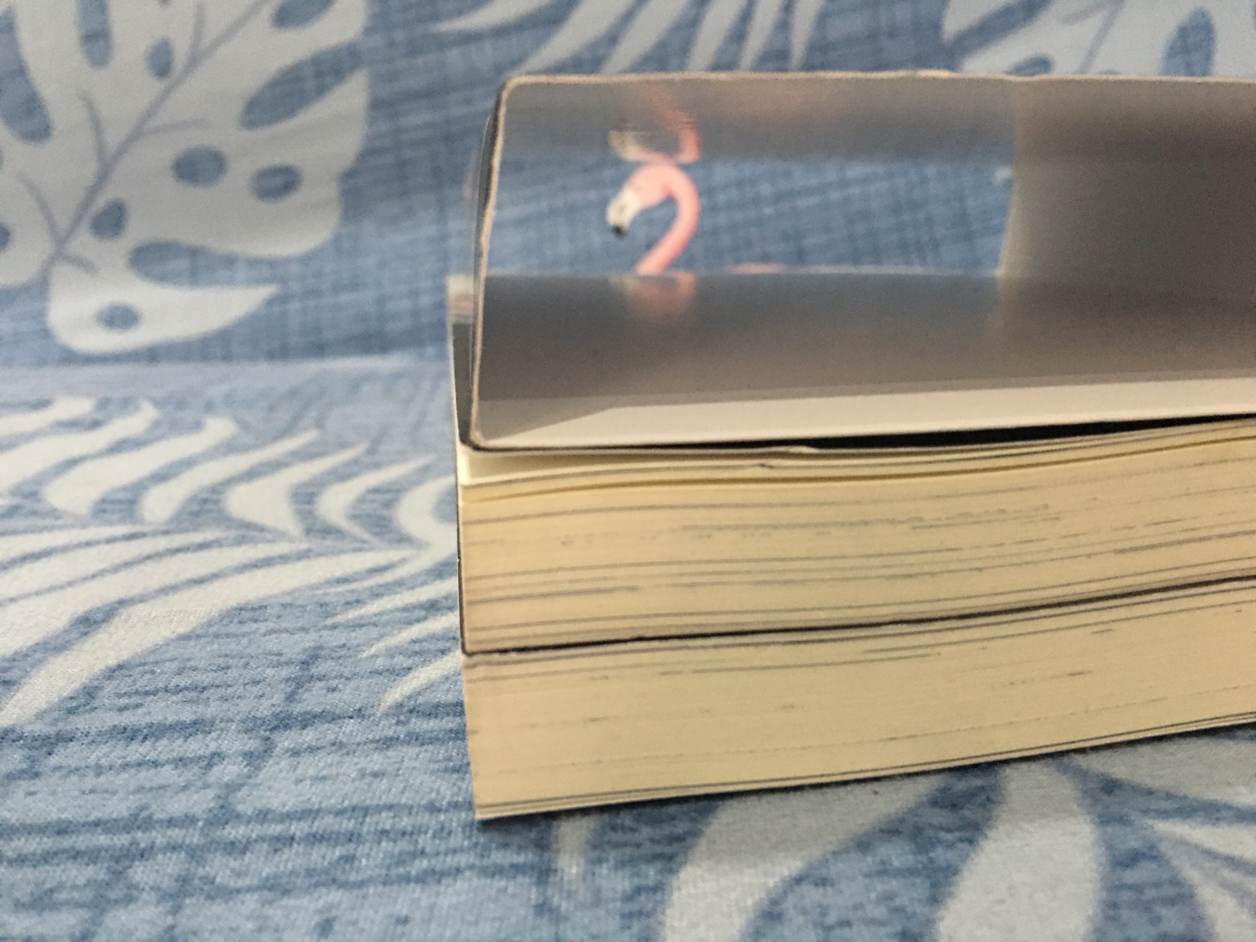 นิยายแปล ตราบสิ้นแสงตะวัน 2 เล่มจบ + ปลอกสวม