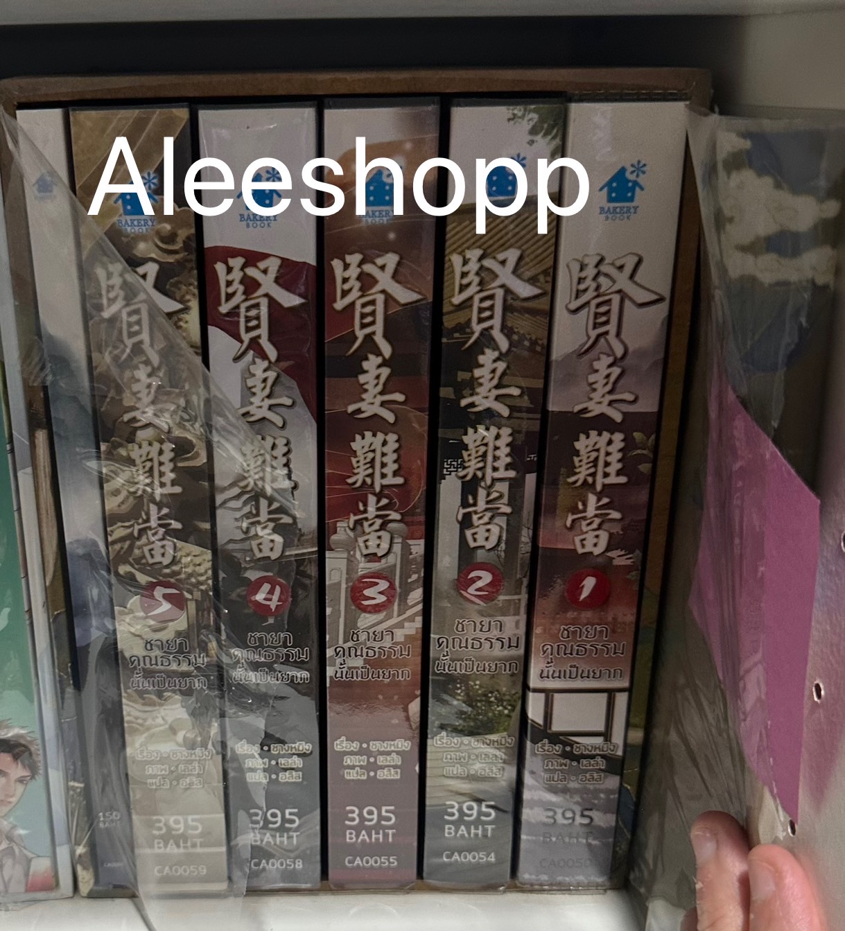 Boxset นิยายแปล ชายาคุณธรรมนั้นเป็นยาก 5 เล่มจบ + เล่มพิเศษ รอบจอง