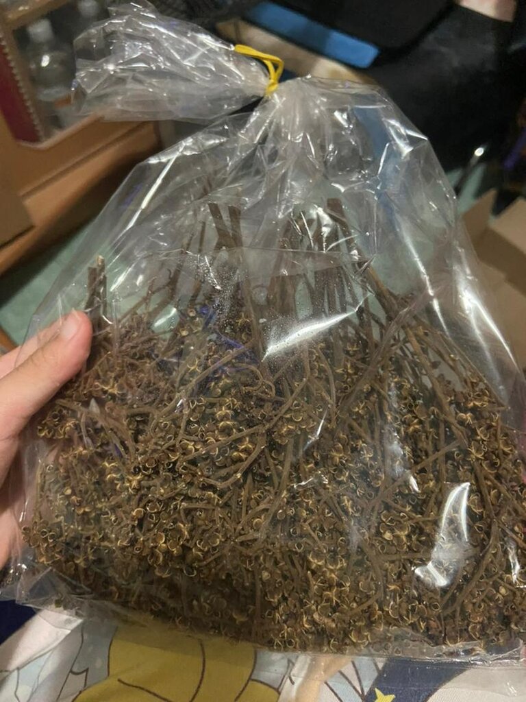 มะแข่น มะแขว่น 1kg (1กิโล)🔥 มะแขว่นคนเหนือ ลูกระมาศ หมากมาศ พริกไทยเสฉวน เครื่องเทศลาบ ลาบหมู หลู้ แกงฮังเล น้ำพริกอ่อง ไส้อั่ว เครื่องเทศเมืองเหนือ อาหารพื้นเมือง สมุนไพรไทย ของดีเชียงใหม่ ราคาส่ง | Zanthoxylum 1kg Sichuan Pepper Thai Spice Larb