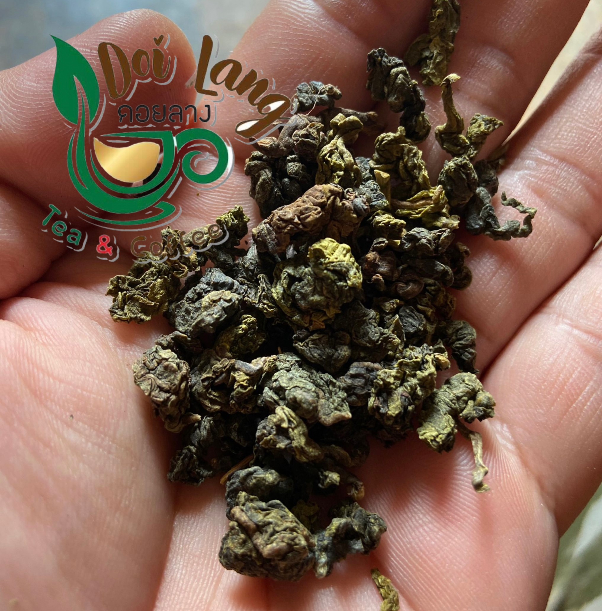 ชาอู่หลง ชาอู่หลงเหมยชิง 200 กรัม Oolong Tea Oolong Tea ชาอูหลง รสนุ่ม ชุ่มคอ หอมชื่นใจ ชาอู่หลง เป็นชาจีนที่คนชื่นชอบในรสชาติและกลิ่นหอม มีสารโพลีฟีนอลในชาอู่หลงพิ่มการเผาผลาญไขมันในร่างกาย ชายอดนิยม ของฝากผู้ใหญ่