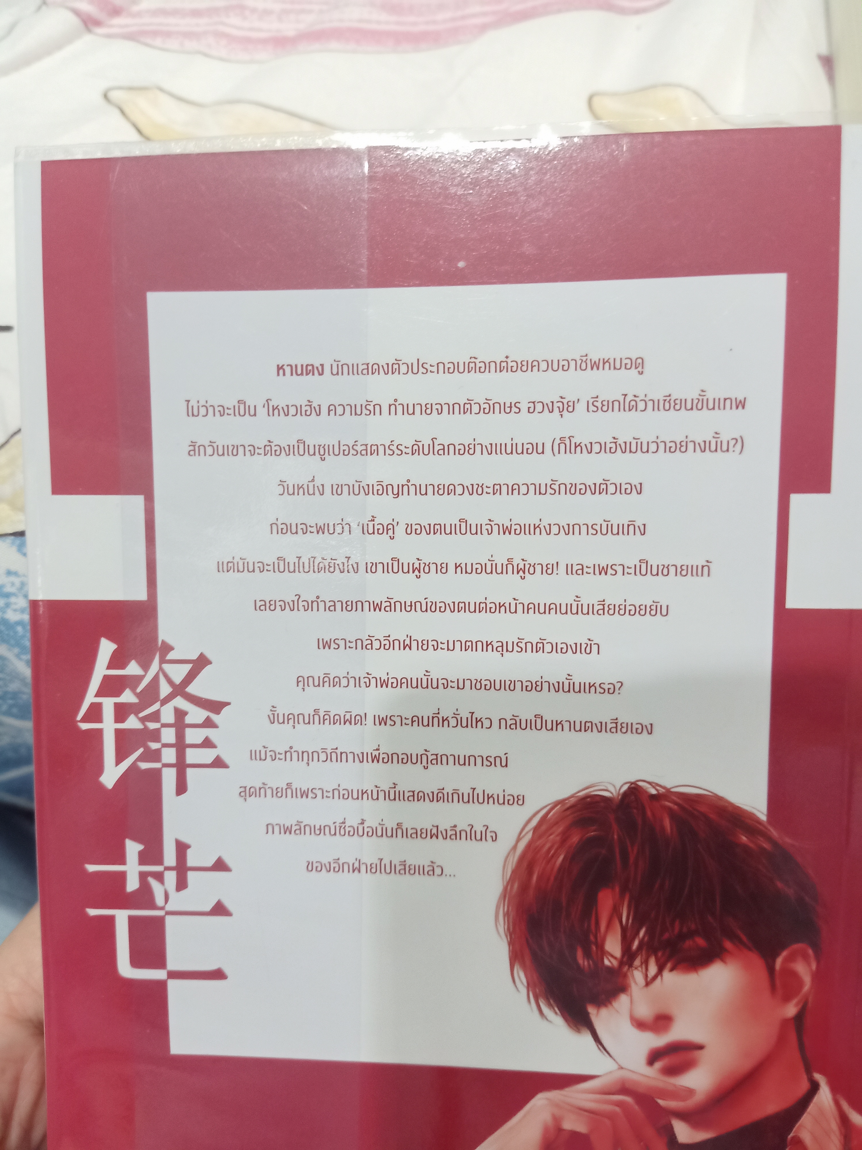 Boxset นิยายแปล Feng Mang รอบจอง