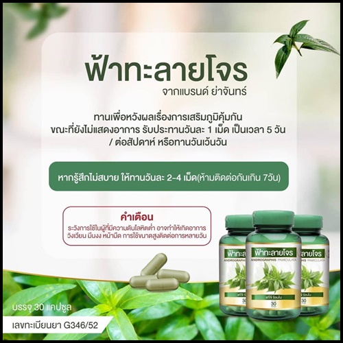 ยาสมุนไพรแคปซูล ฟ้าทะลายโจร ย่าจันทร์ (ซื้อ 1 แถม 1 + ส่งฟรี)
