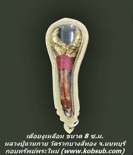 เดือยงูเหลือม ขนาด 8 ซ.ม.หลวงปู่แวนกาย พันธสาโร
