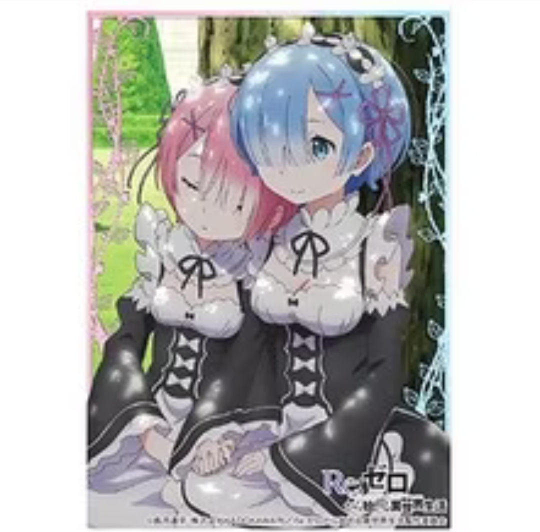 สลีฟบัดดี้ไฟท์ Bushiroad Sleeve HG Vol.1143 Re Life in a Different World from Zero [Rem & Ram] ซองใส่การ์ดโปเกมอน