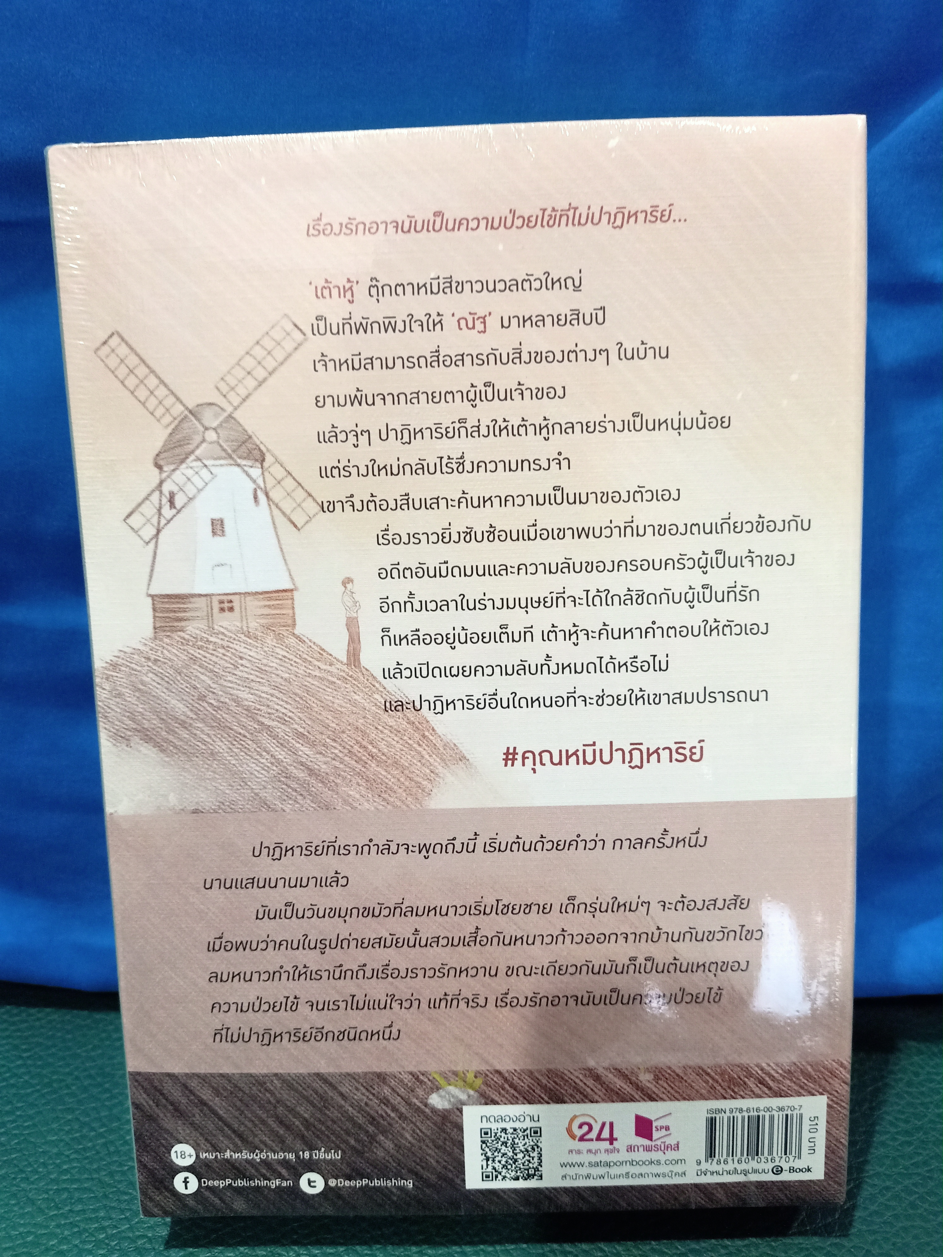 นิยายแต่ง คุณหมีปาฏิหาริย์