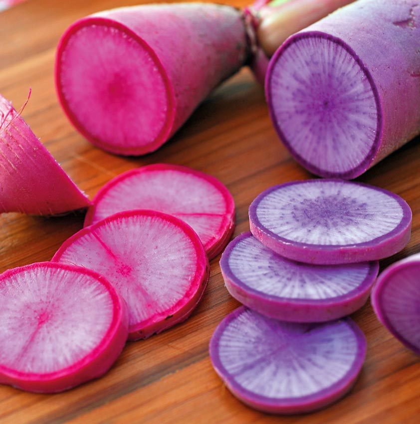 แรดิชบลูมูน & เรดมูน F1 - Radish Bluemoon & Redmoon F1 Radish