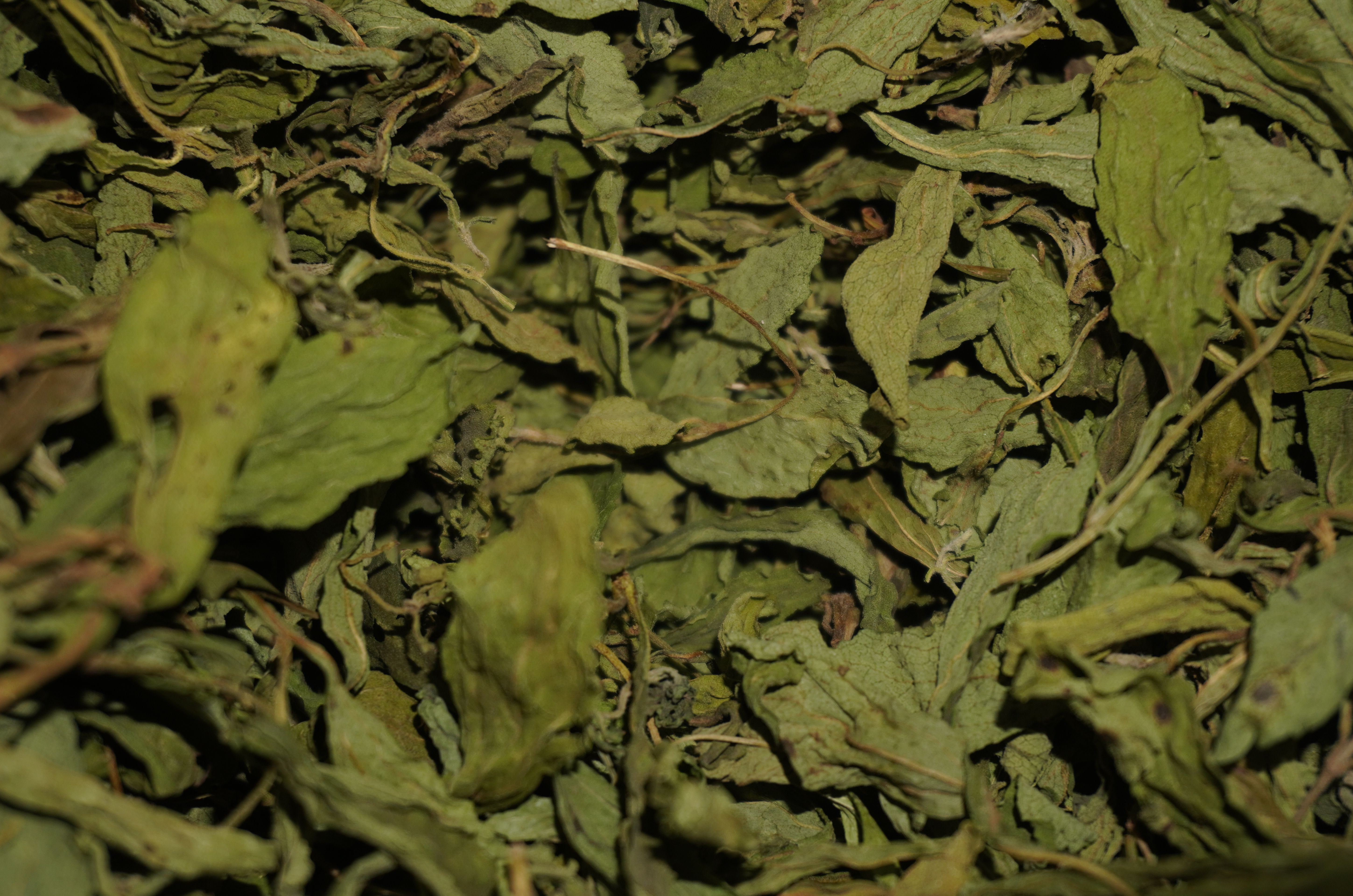 หญ้าหวาน หญ้าหวานแห้ง ขนาด 1 กิโลกรัม ชาหญ้าหวาน หญ้าหวานอบแห้ง Stevia (สตีเวีย) สมุนไพรหญ้าหวานให้ความหวานเหมือนน้ำตาล แต่ไม่ให้พลังงาน รับประทานเท่าไหร่ก็ไม่อ้วน จึงช่วยในการควบคุมน้ำหนักได้เป็นอย่างดี