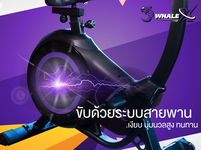 จักรยานนั่งปั่นVTech รุ่น WHALE-XU