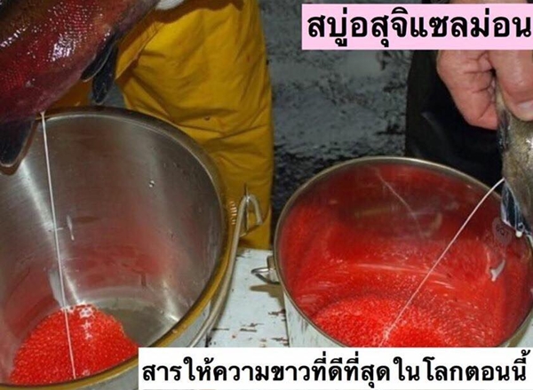 ขาย สบู่อสุจิแซลมอน (Sodium DNA Soap)