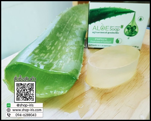 สบู่ว่านหางจระเข้ ใบบัวบก คุณลำไย Aloe Soap By KhunLamyai
