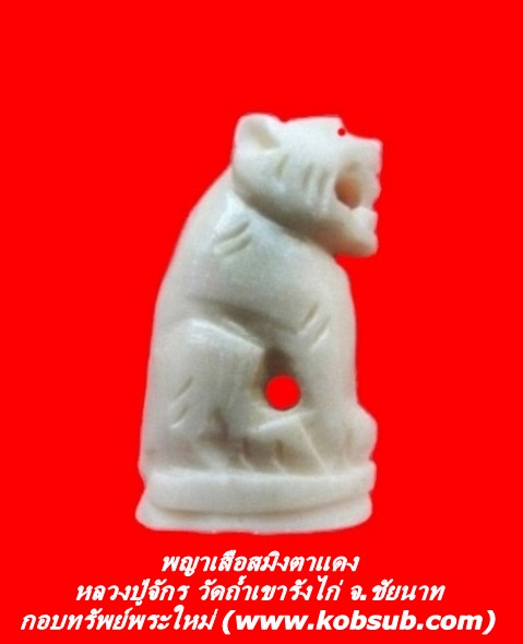 พญาเสือสมิงตาแดง รุ่นแรก หลวงปู่จักร วัดถ้ำเขารังไก่