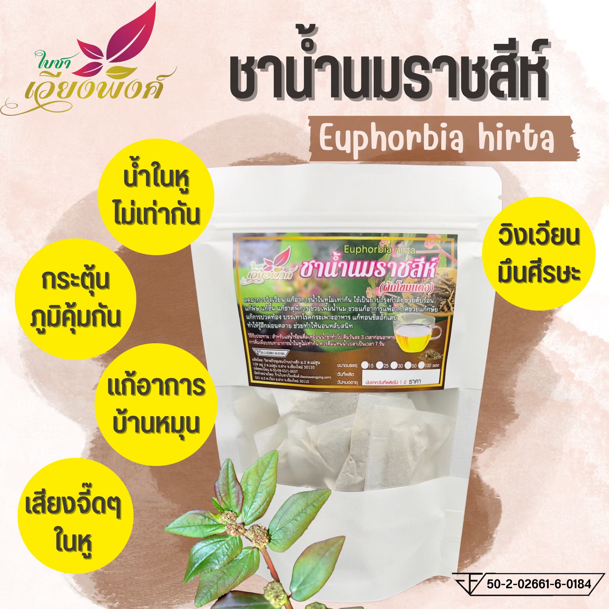 ชาน้ำนมราชสีห์ (ใบชาเวียงพิงค์) Garden spurge ขนาด 50 ซองชา สมุนไพรน้ำนมราชสีห์ บรรเทาอาการน้ำในหูไม่เท่ากัน เวียนหัว บ้านหมุน ช่วยกระตุ้นระบบภูมิคุ้มกันในร่างกาย