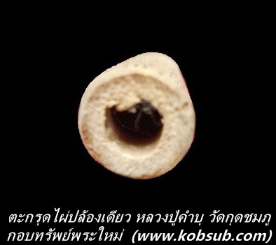 ตะกรุดไผ่ปล้องเดียว หลวงปู่คำบุ วัดกุดชมภู