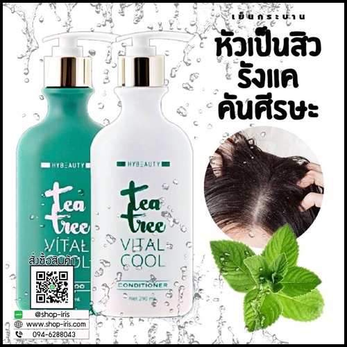 ไฮบิวตี้ ที ทรี ไวทัล คลู แชมพู & คอนดิชั่นเนอร์ Tea Tree Vital Cool Shampoo And Conditioner by Hybeauty