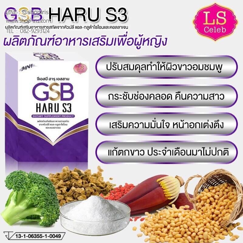 จีเอสบี ฮารุ เอสสาม GSB Haru S3