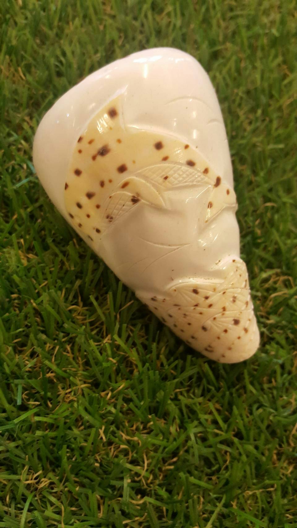 เปลือกหอยเต้าปูนแกะสลักลายโลมาคู่