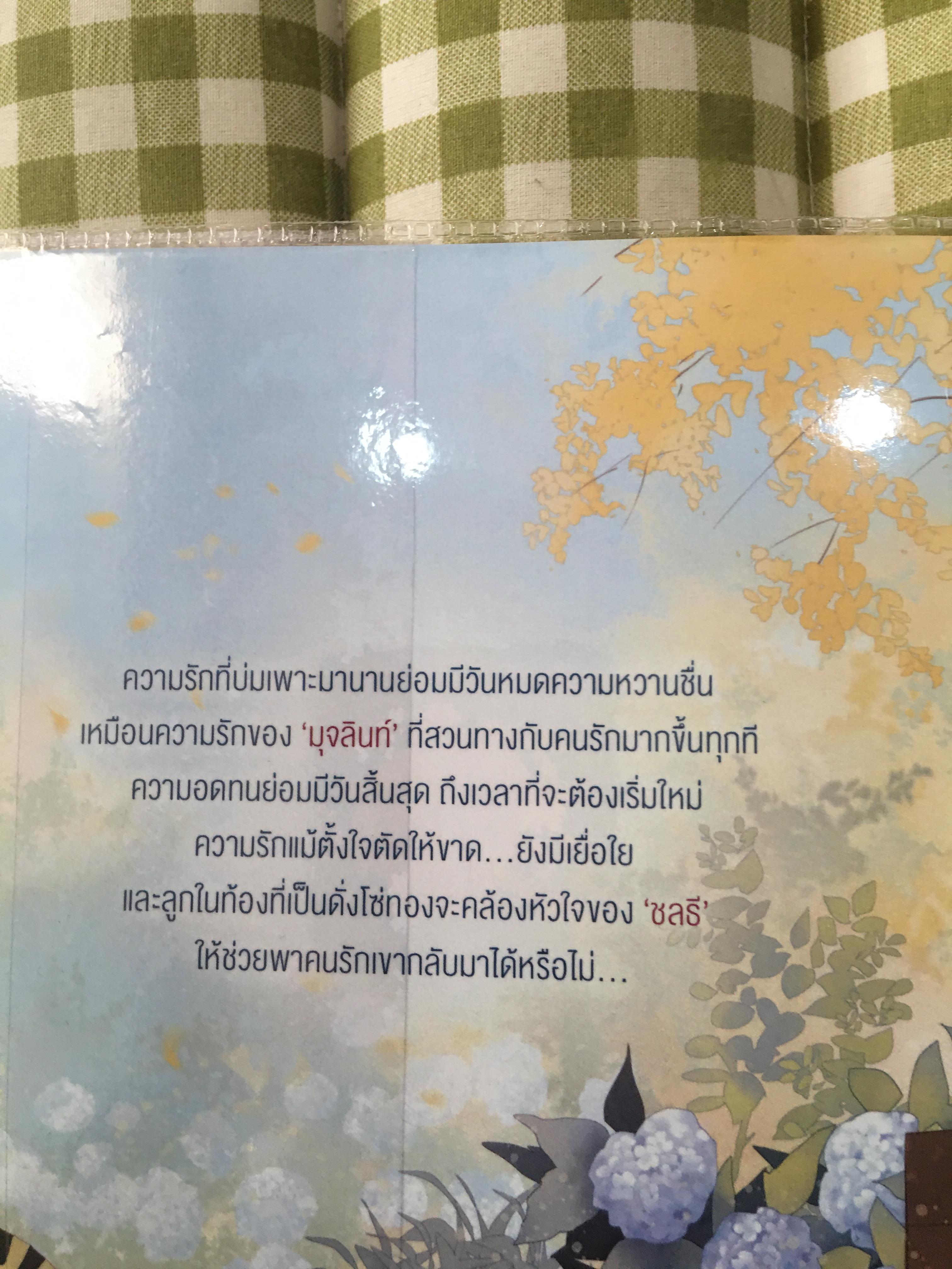 Boxset นิยายแต่ง มจุลินทร์ รอบจอง