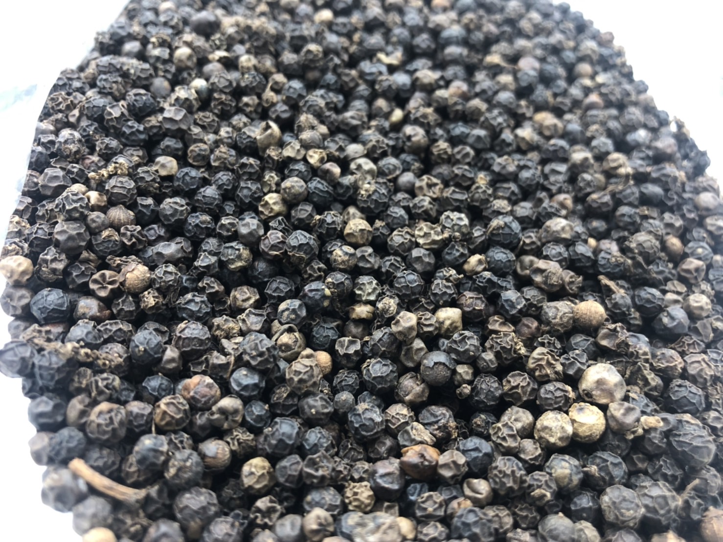 พริกไทยดำ Black pepper ขนาด 100 กรัม 黑糊椒粒 พริกไทยสเต็ก เครื่องเทศ พริกไทยเม็ดดำ คุณภาพดี พริกไทยดำเม็ด