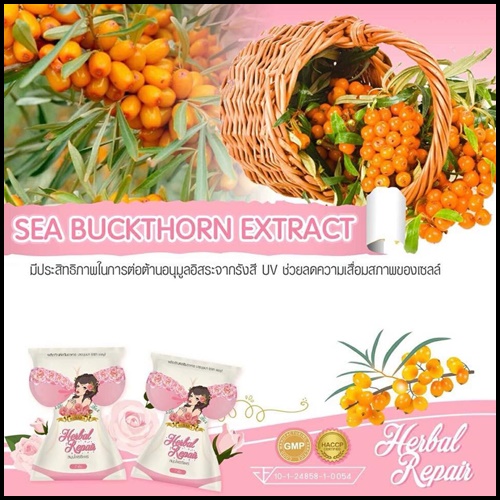 สมุนไพรรีแพร์ by บุษบา แพคเกจใหม่