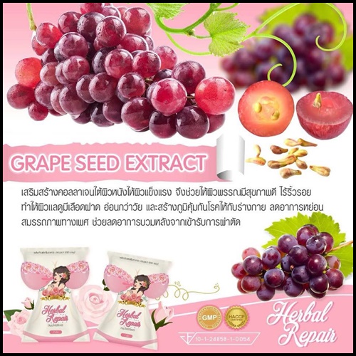 สมุนไพรรีแพร์ by บุษบา แพคเกจใหม่