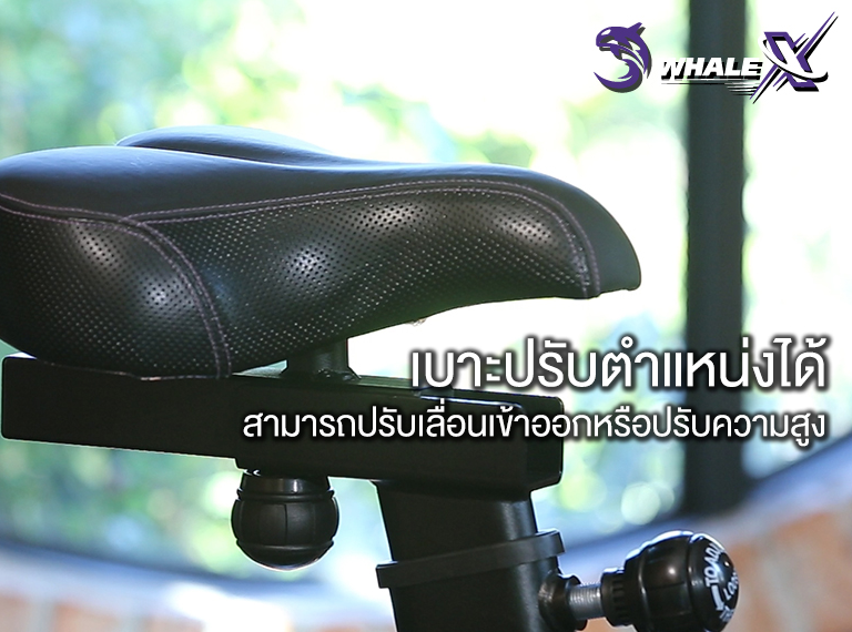 จักรยานนั่งปั่นVTech รุ่น WHALE-XU