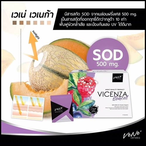 เวเน่ เวเนก้า VICENZA Stemcell by Vene' Veneka อาหารเสริมเสต็มเซลล์