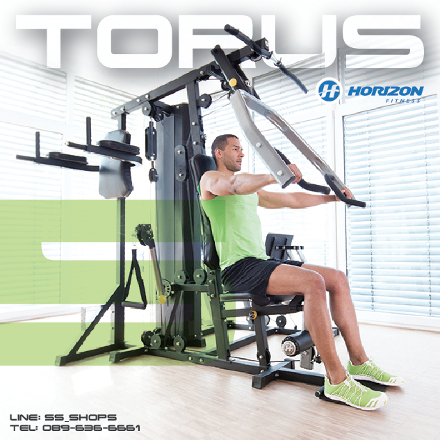 Horizon Torus5 โฮมยิม3สถานี Home Gym