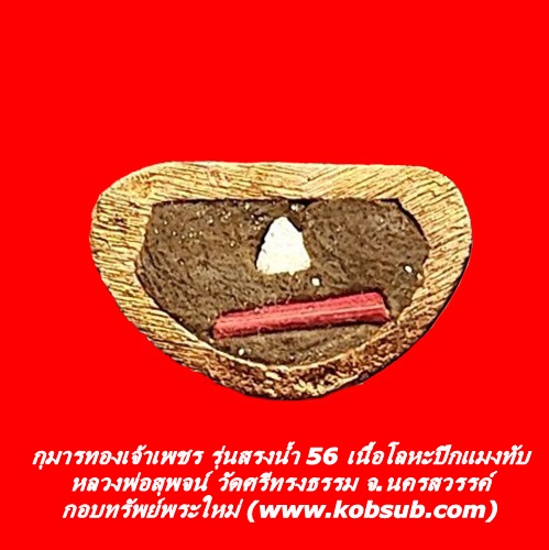 กุมารทองเจ้าเพชร รุ่นสรงน้ำ 56 เนื้อโลหะปีกแมงทับ หลวงพ่อสุพจน์ วัดศรีทรงธรรม