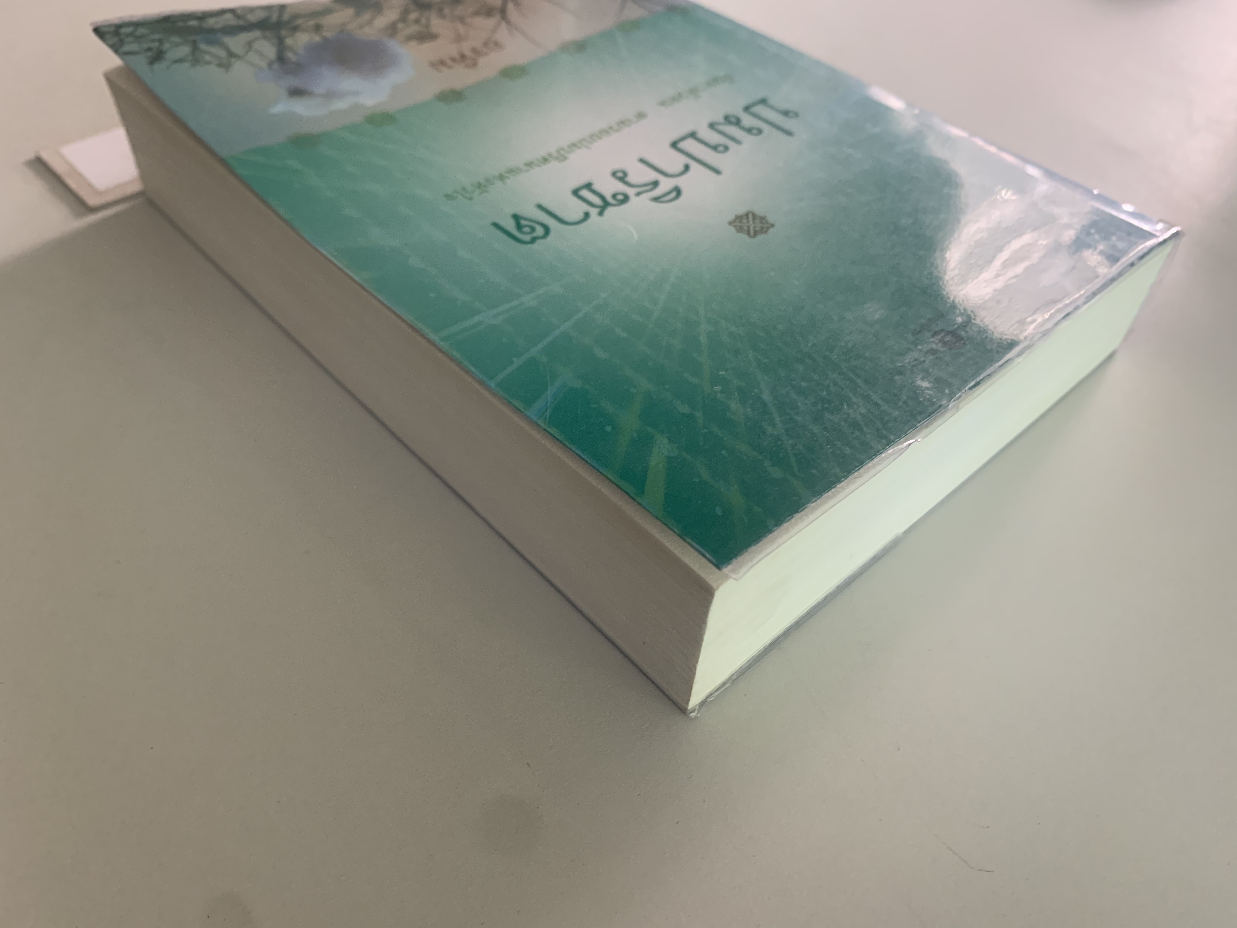 ปมปาริชาต/อรพิม