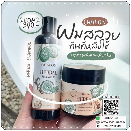 แชมพูมะกรูดชลอน Chalon Herbal Shampoo (แถมฟรี ทรีทเม้นชลอน)