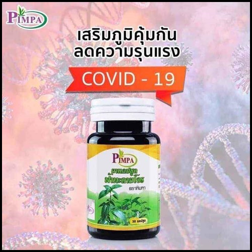 ฟ้าทะลายโจร ตรา พิมพา