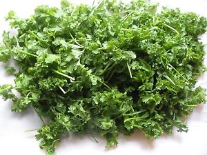 เครสใบหยัก - Curled Cress